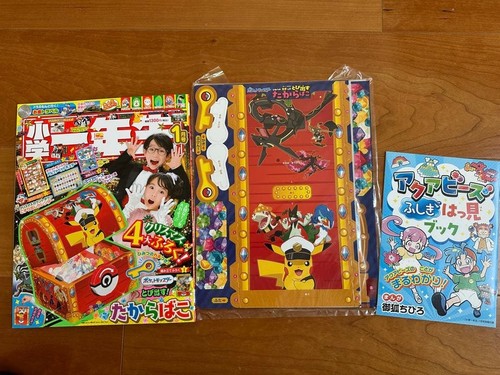 Pokemon appendix pocket - pokemon,